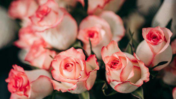 处女座男生喜欢一个人的表现准到爆