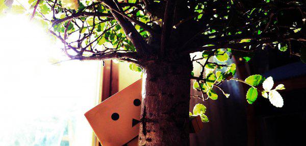 射手其实最爱双鱼的星座