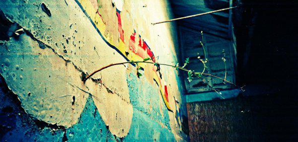 射手其实最爱双鱼的星座