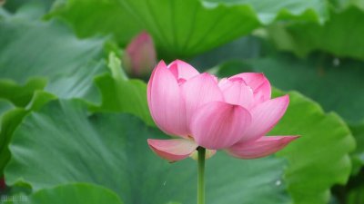 给爱人的一封感动情书赏析 写给已经分开的爱人情话