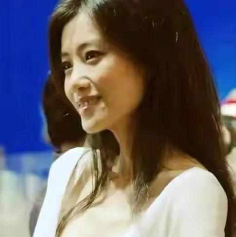 王海燕和张嘉译怎么认识的