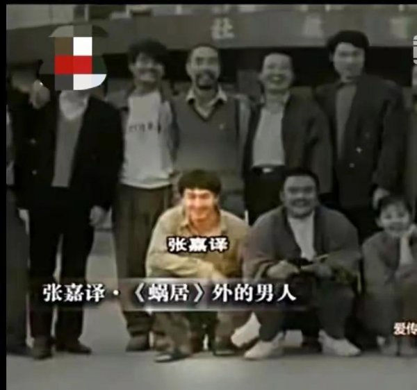 王海燕和张嘉译怎么认识的