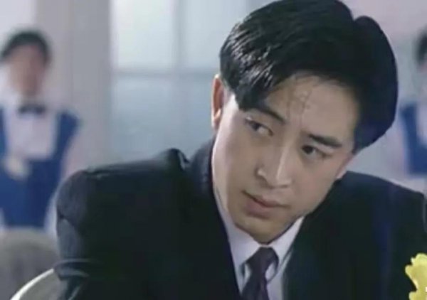 王海燕和张嘉译怎么认识的