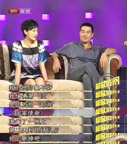 王海燕和张嘉译怎么认识的