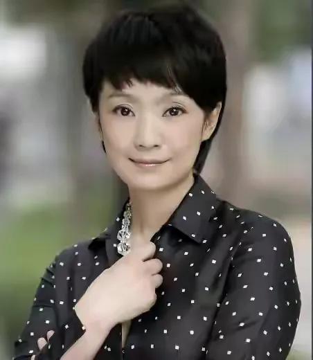 王海燕和张嘉译怎么认识的