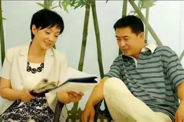 王海燕和张嘉译怎么认识的