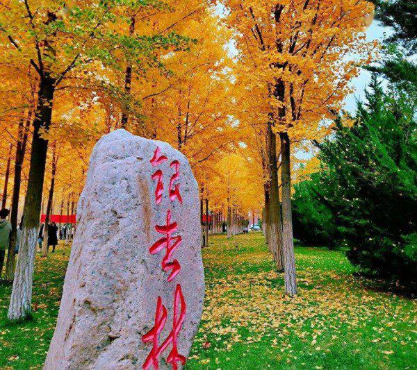 兰州理工大学什么档次