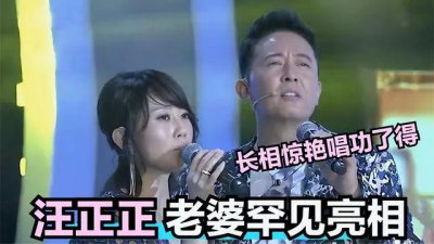 歌手汪正正个人资料 唱歌的汪正正现在的状况如何