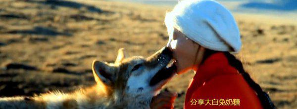 重返狼群格林现状