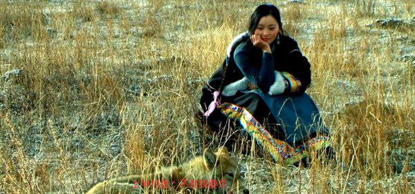 重返狼群格林现状