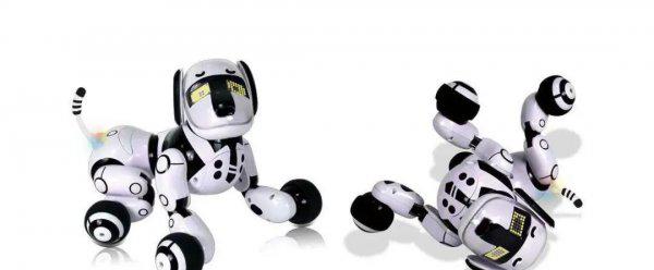 回老家创业适合做什么