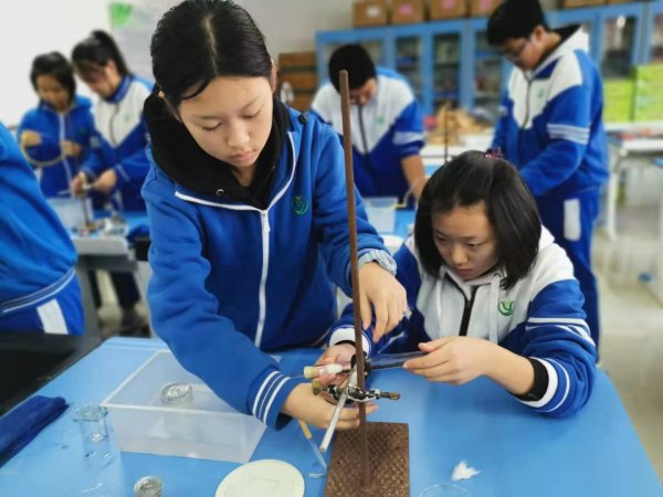 初中学科有哪些怎么提高成绩