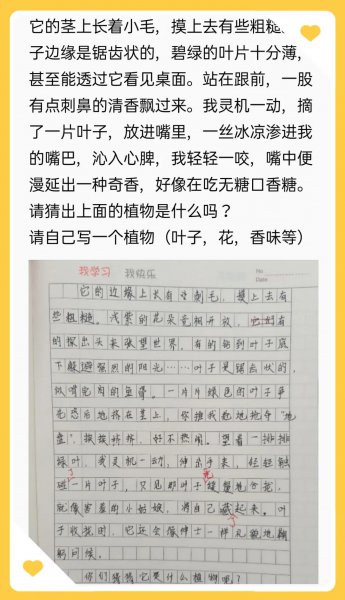 语文小练笔是什么意思