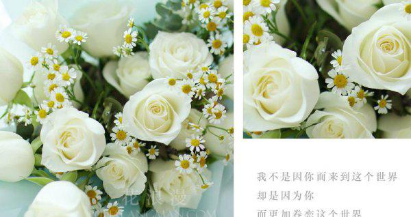 白玫瑰适合送什么人