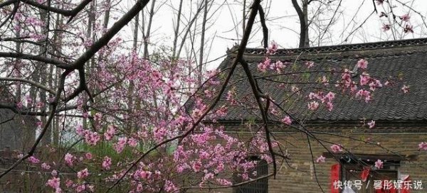 河南省郸城县属于哪个市