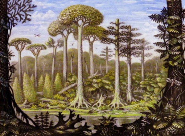 千足虫有多少只脚