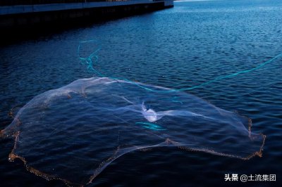 禁渔期是什么时候 2023年全国各地休渔时间表