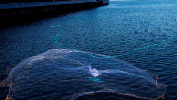 禁渔期是什么时候