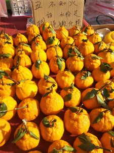 丑橘和粑粑柑哪个好吃 丑橘和粑粑柑的区别有哪些