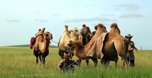 新疆晚上8点北京是几点时间