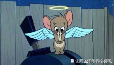 猫和老鼠的老鼠叫什么名字 猫和老鼠中各角色的名字