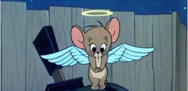 猫和老鼠的老鼠叫什么名字