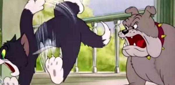 猫和老鼠的老鼠叫什么名字