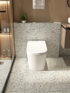 智能马桶好还是普通马桶好 普通和智能马桶的实用对比