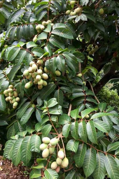 西班牙属于哪个洲的国家