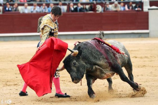 西班牙属于哪个洲的国家