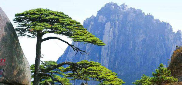 皖南有哪些城市