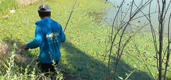 抄网竿买多长合适