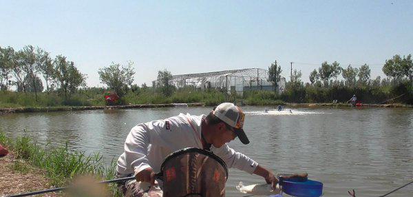 抄网竿买多长合适