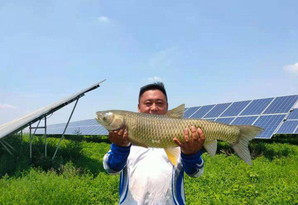 抄网竿买多长合适