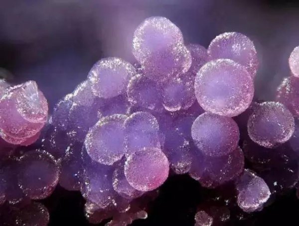 紫云母是什么材质做的