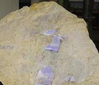 紫云母是什么材质做的