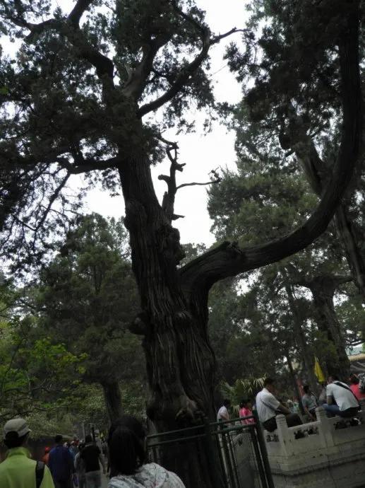 成都十景是什么