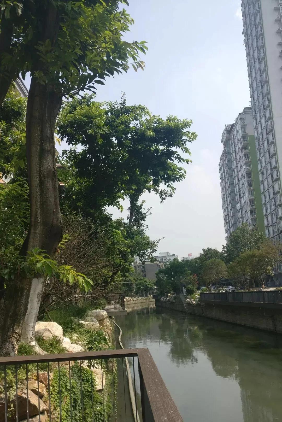 成都十景是什么