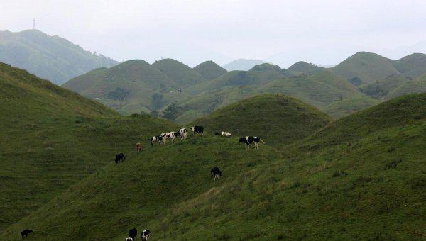 城步苗族自治县属于哪个市
