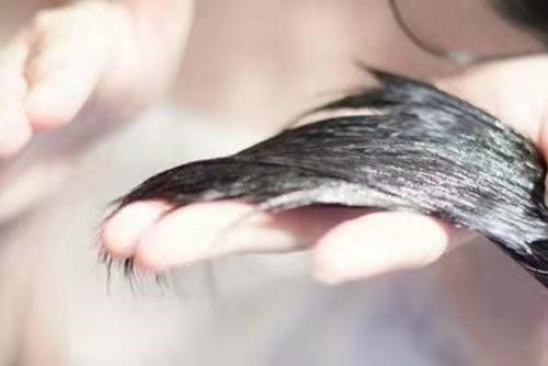 白醋洗头发的正确方法和用量