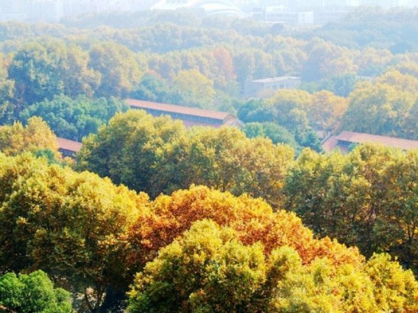 华中科技大学在哪个省份