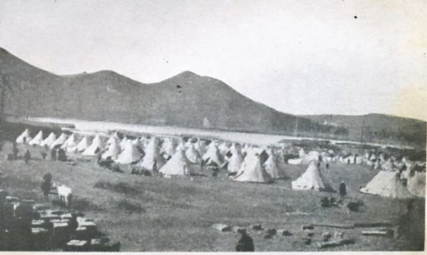 1916年发生的历史事件