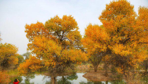 新疆巴楚县属于哪个市