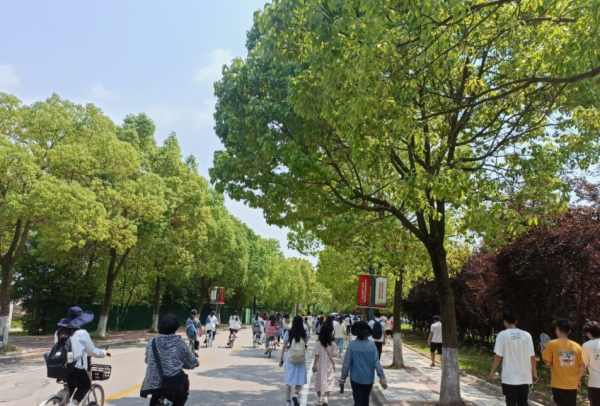 江苏二本大学排名榜