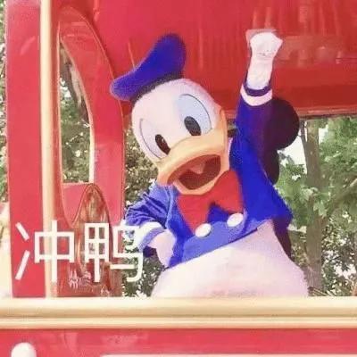 非师范生考教师编制太难了