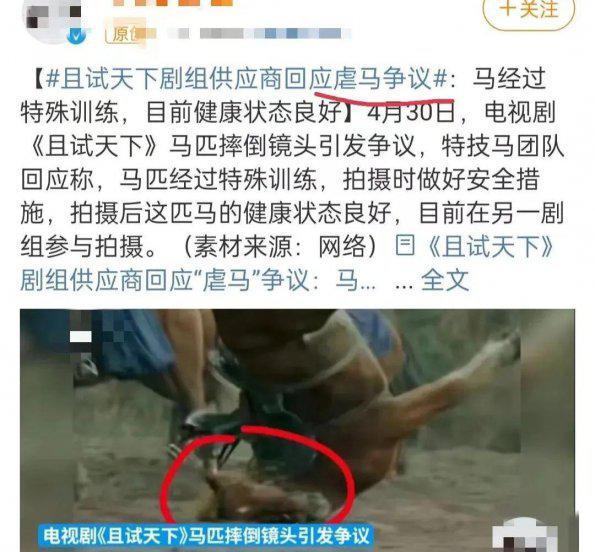 2022好看的电视剧推荐