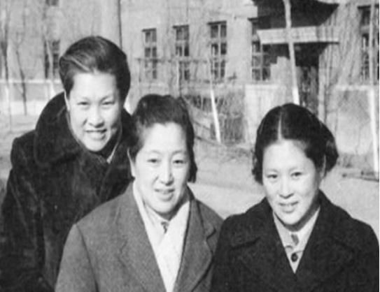 何泽慧先生是谁