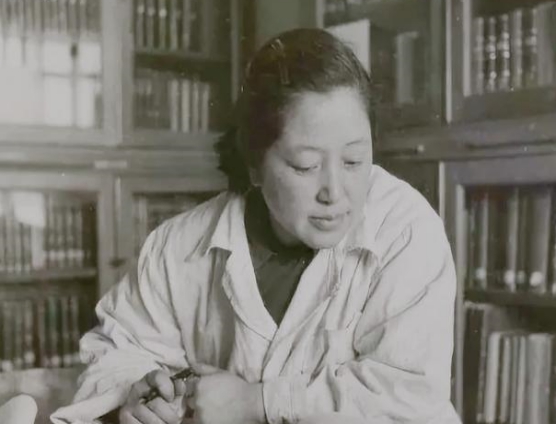 何泽慧先生是谁