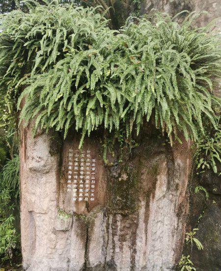 峨眉山是哪位菩萨的道场