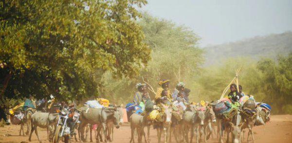 科特迪瓦是哪个国家
